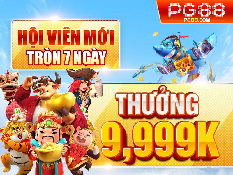 Kết luận